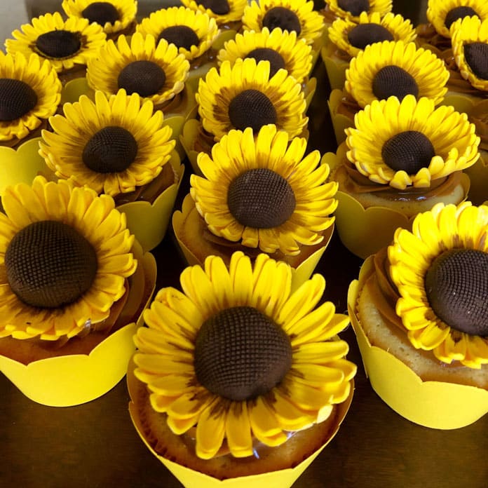 Cupcakes Personalizzati - 34