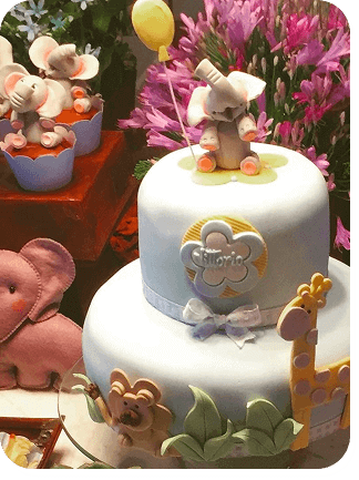 Meu Primeiro Zoológico - 9