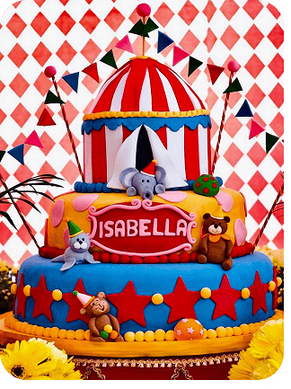 Meu Primeiro Zoológico - 24