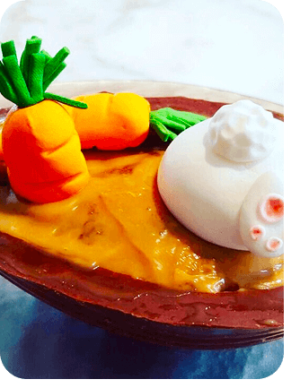 Meu Primeiro Zoológico - 28